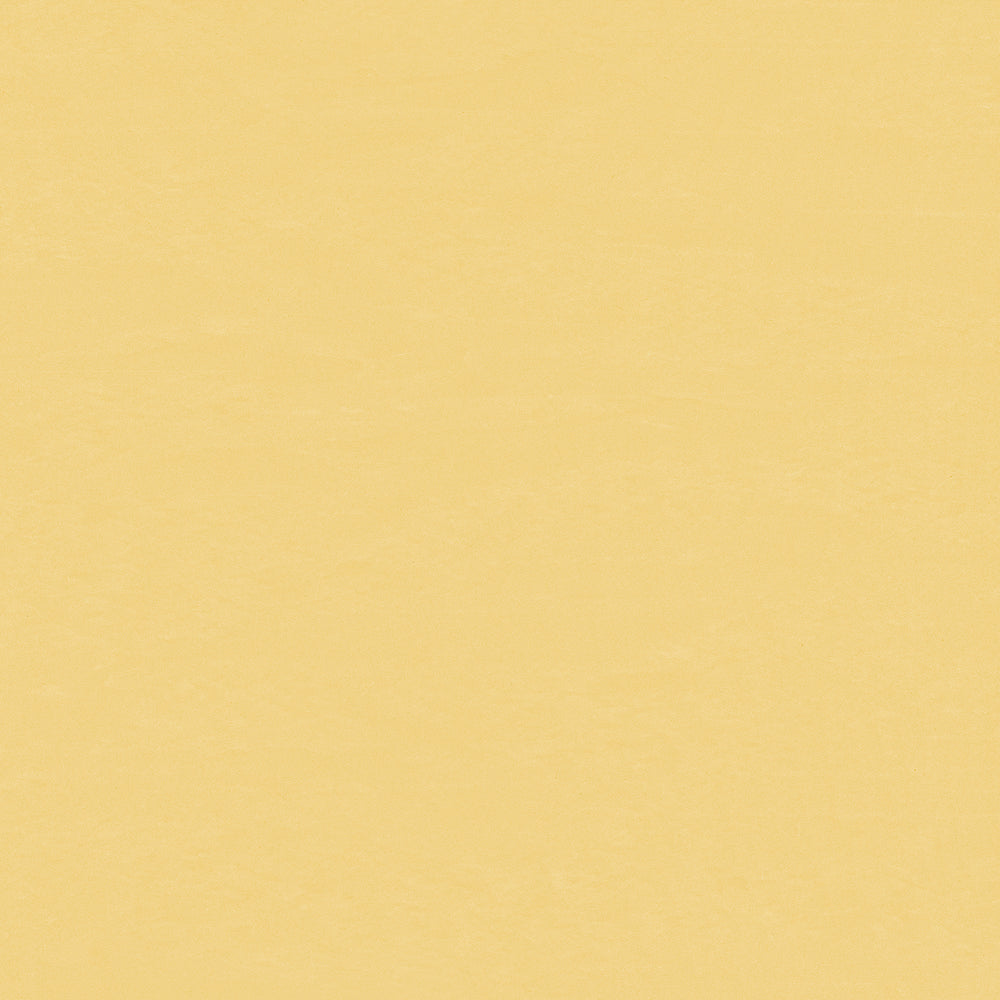 Wallflex | Dandelion