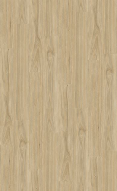 Natural Creations™ XL | Tasmanian Oak