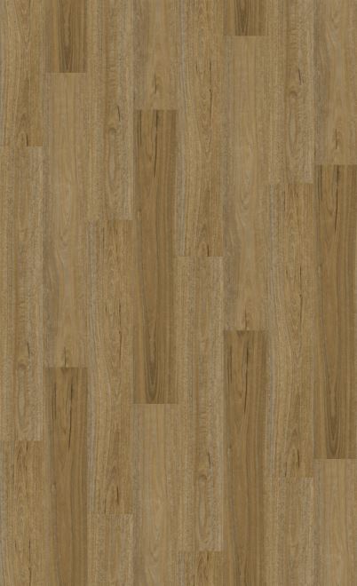 Natural Creations™ XL | Spotted Gum