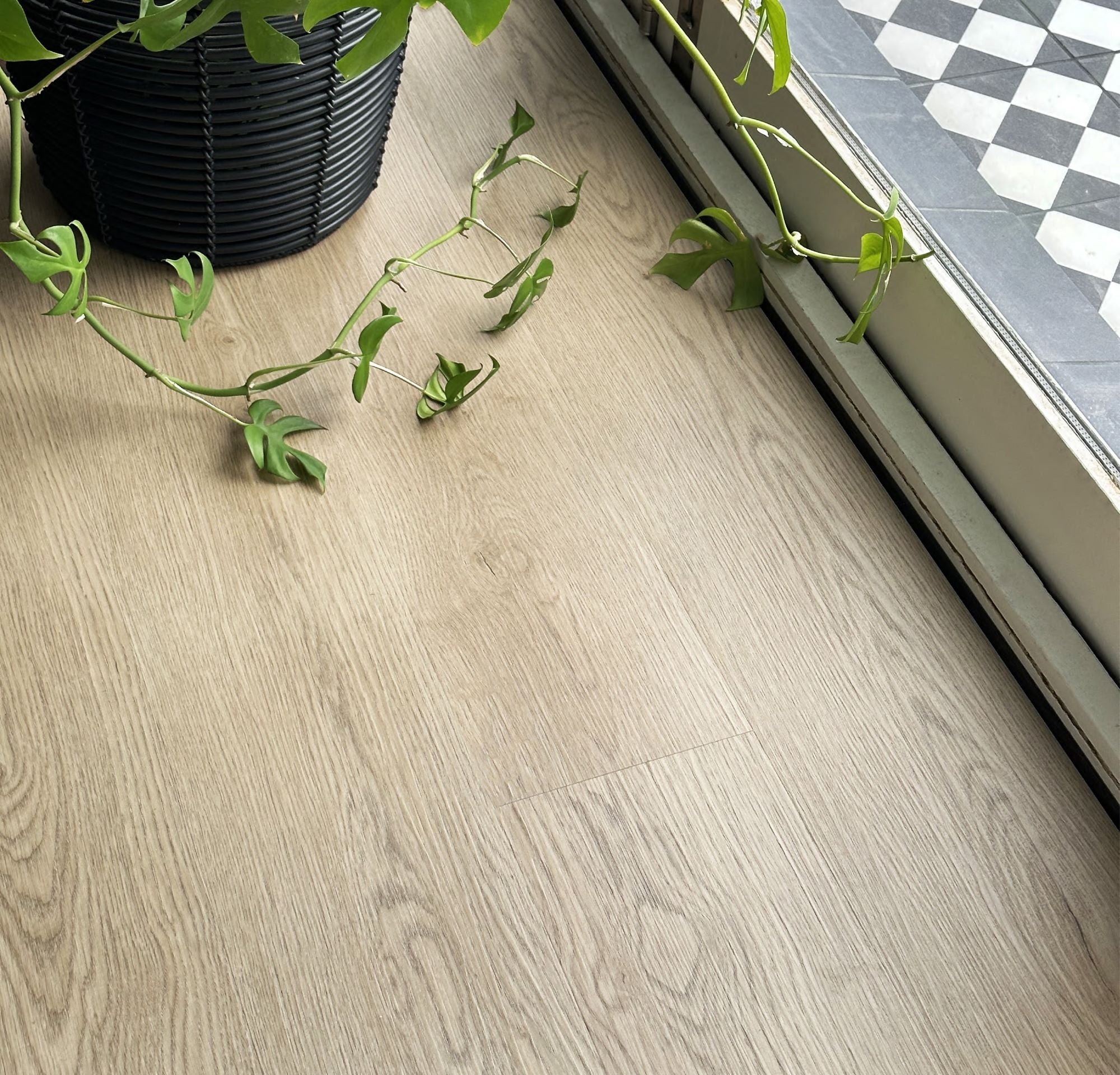 Kingswood 1.5 | Booker Oak