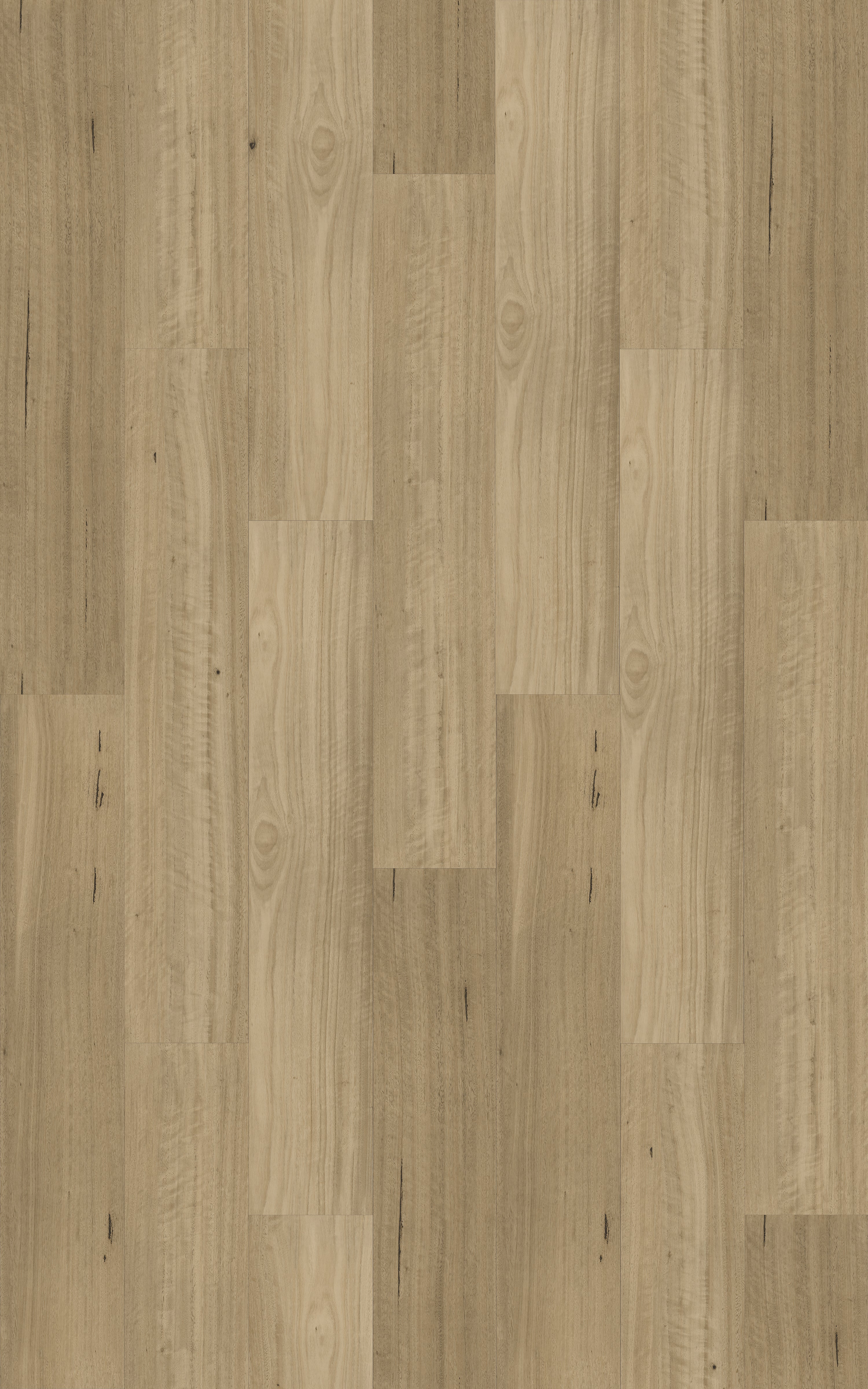 Kingswood Australis | Somerset Blackbutt