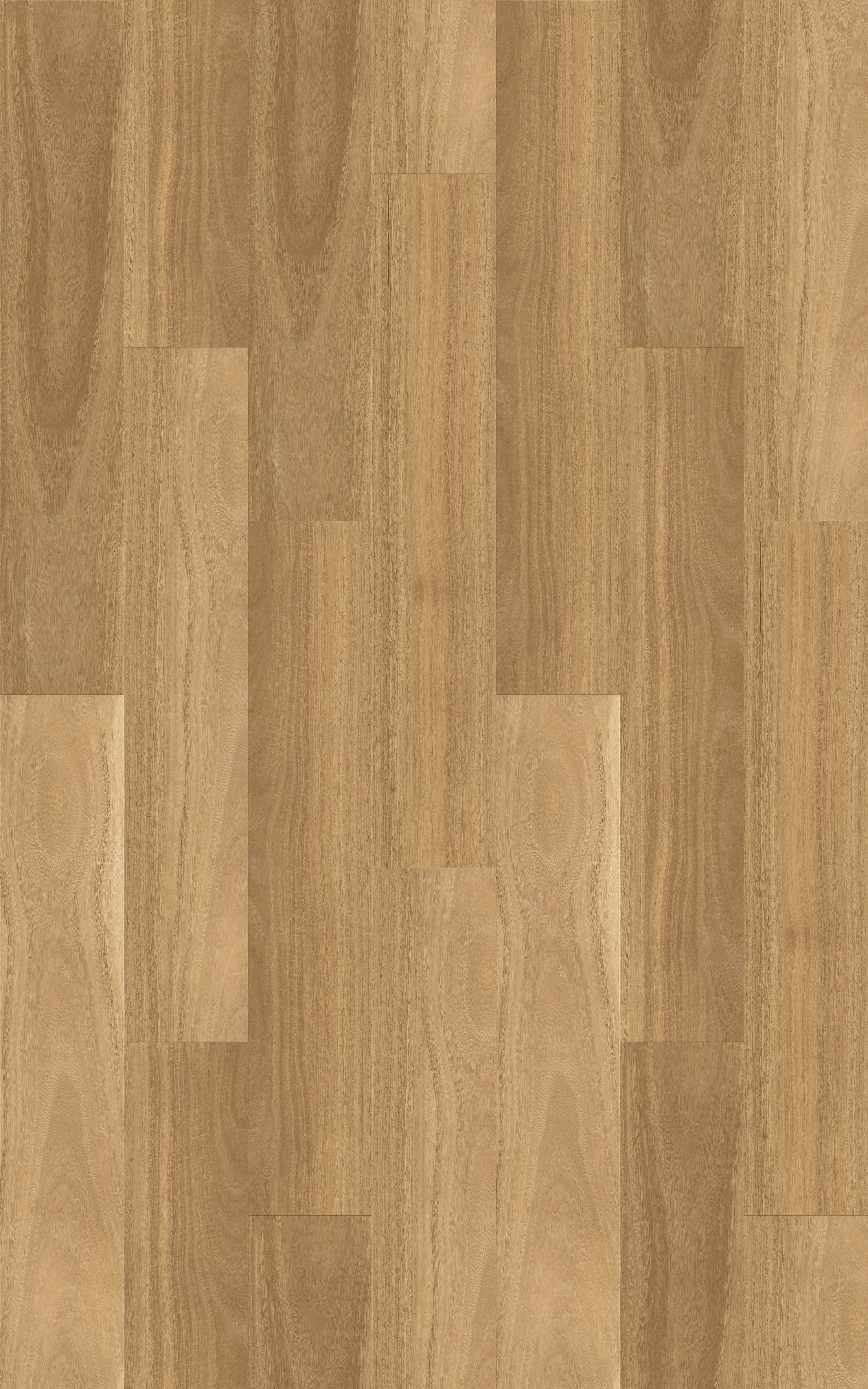 Kingswood Australis | Salted Gum