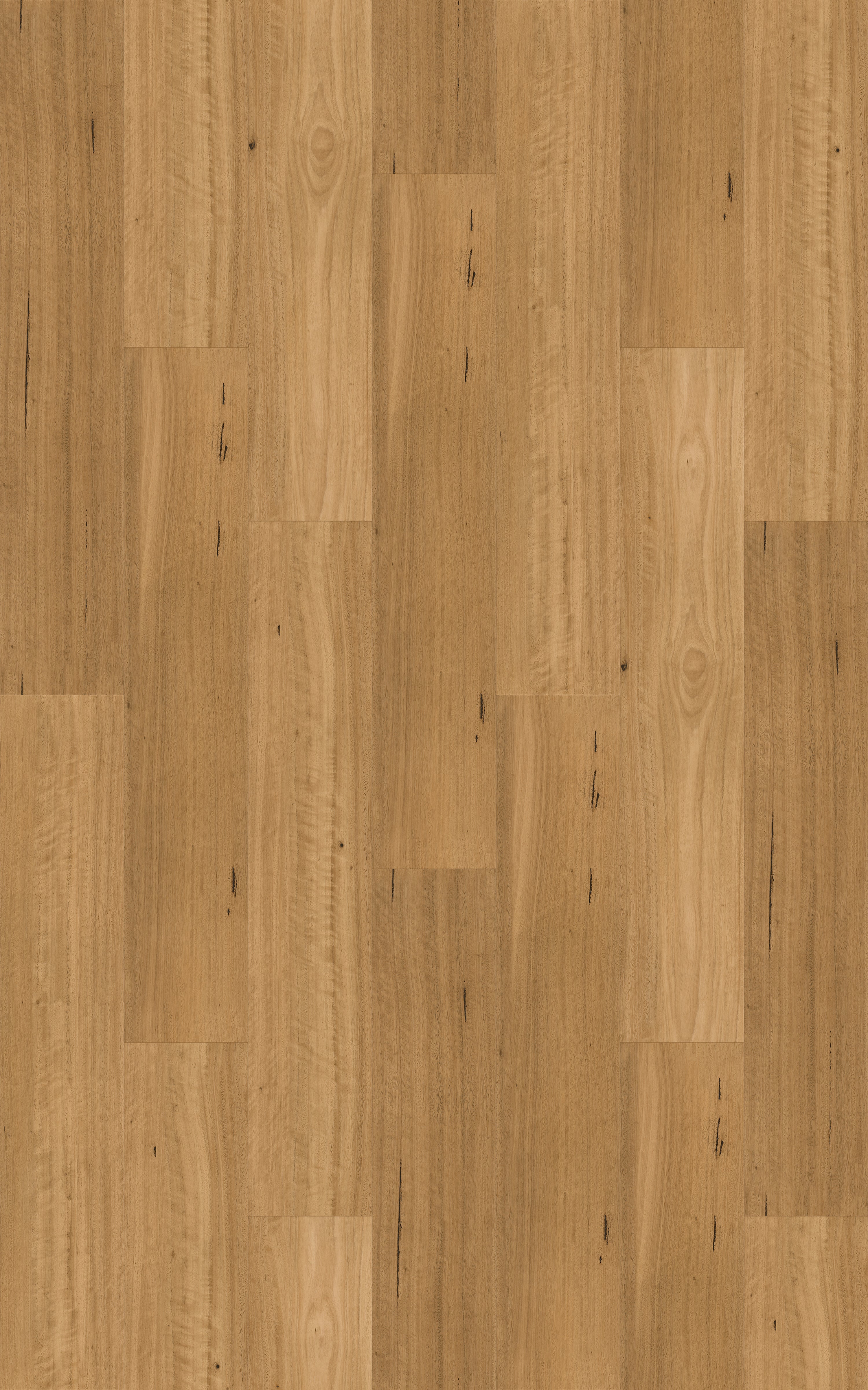 Kingswood Australis | Natural Blackbutt