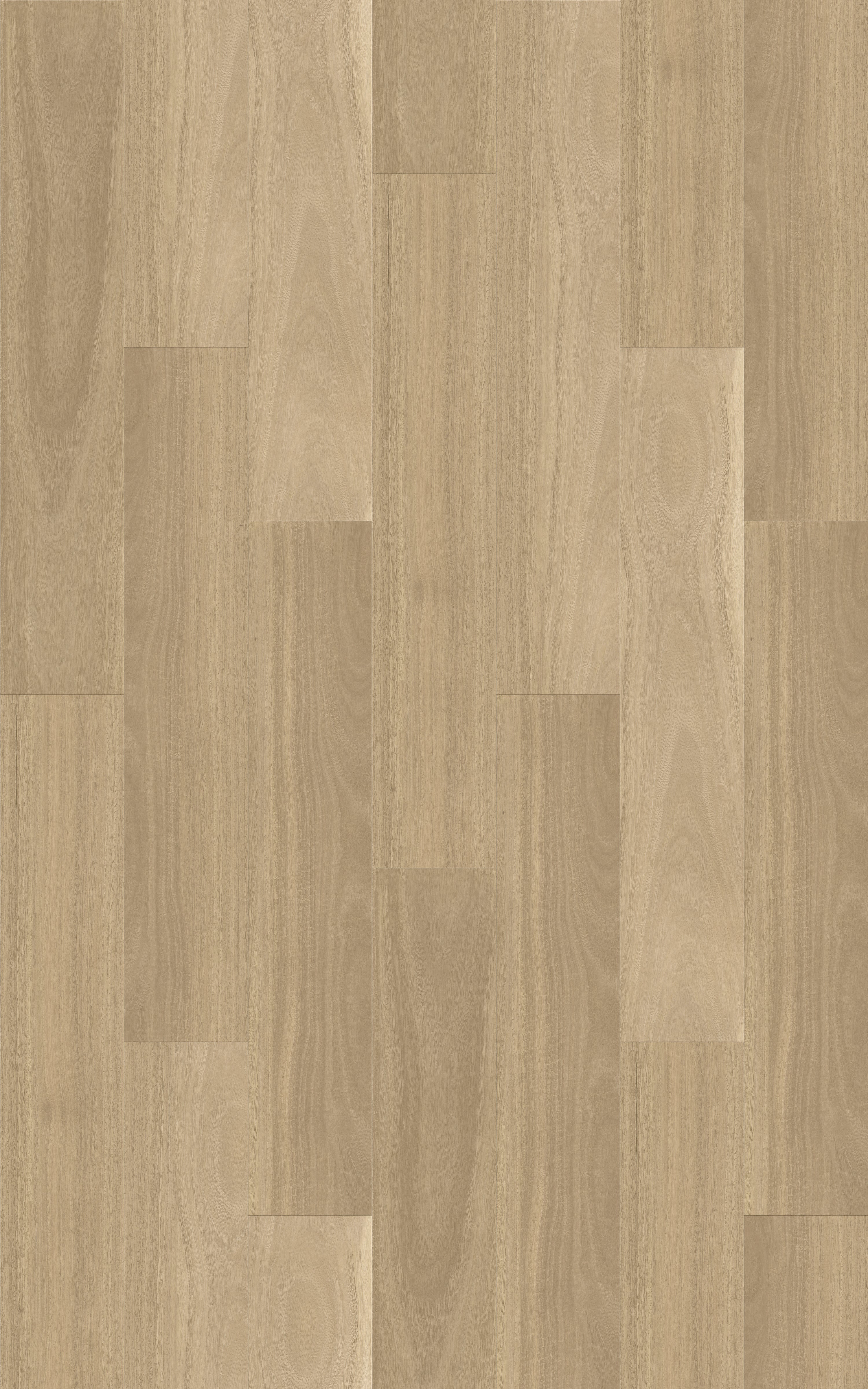 Kingswood Australis | Linen Gum