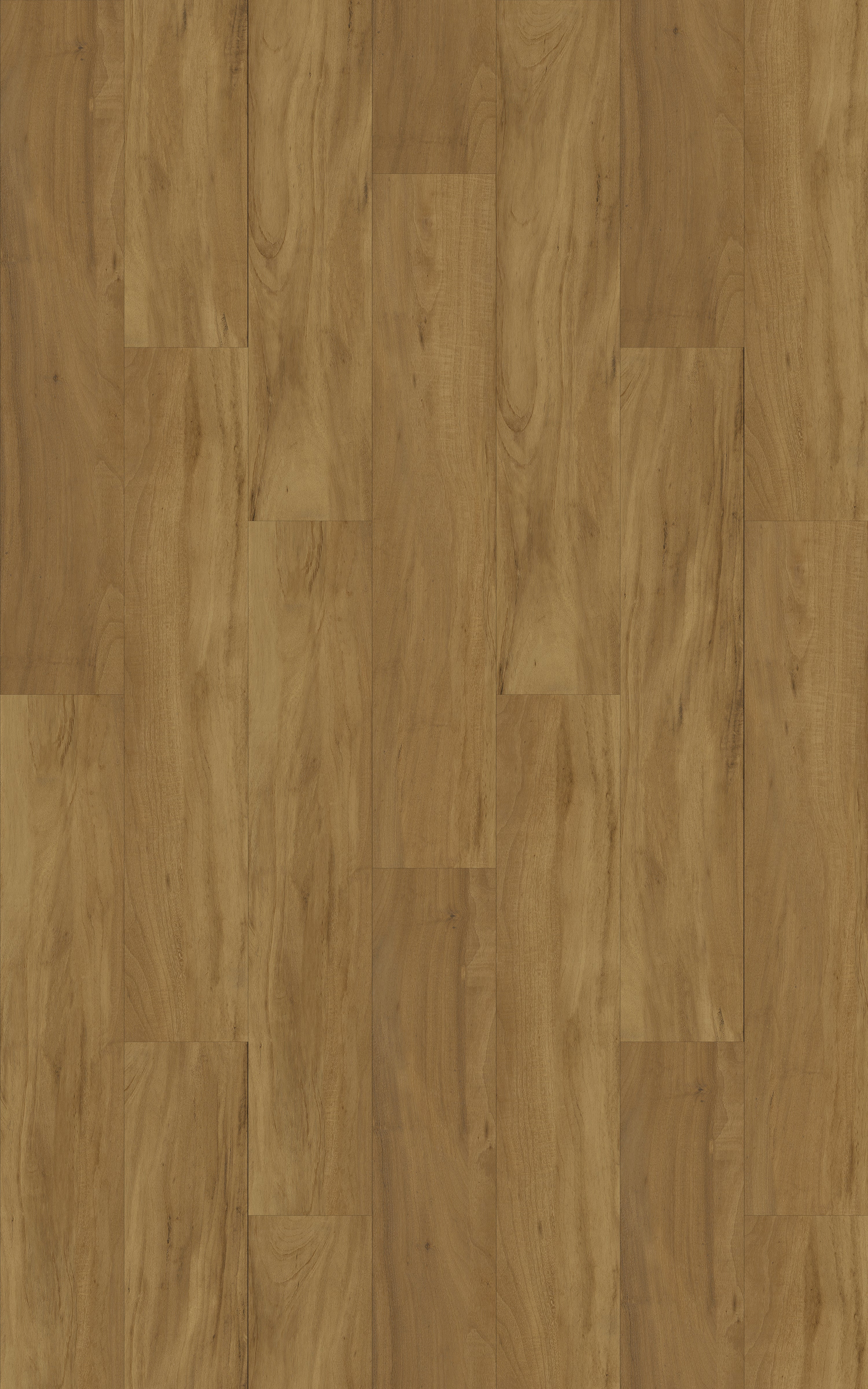 Kingswood Australis | Wormy Chestnut