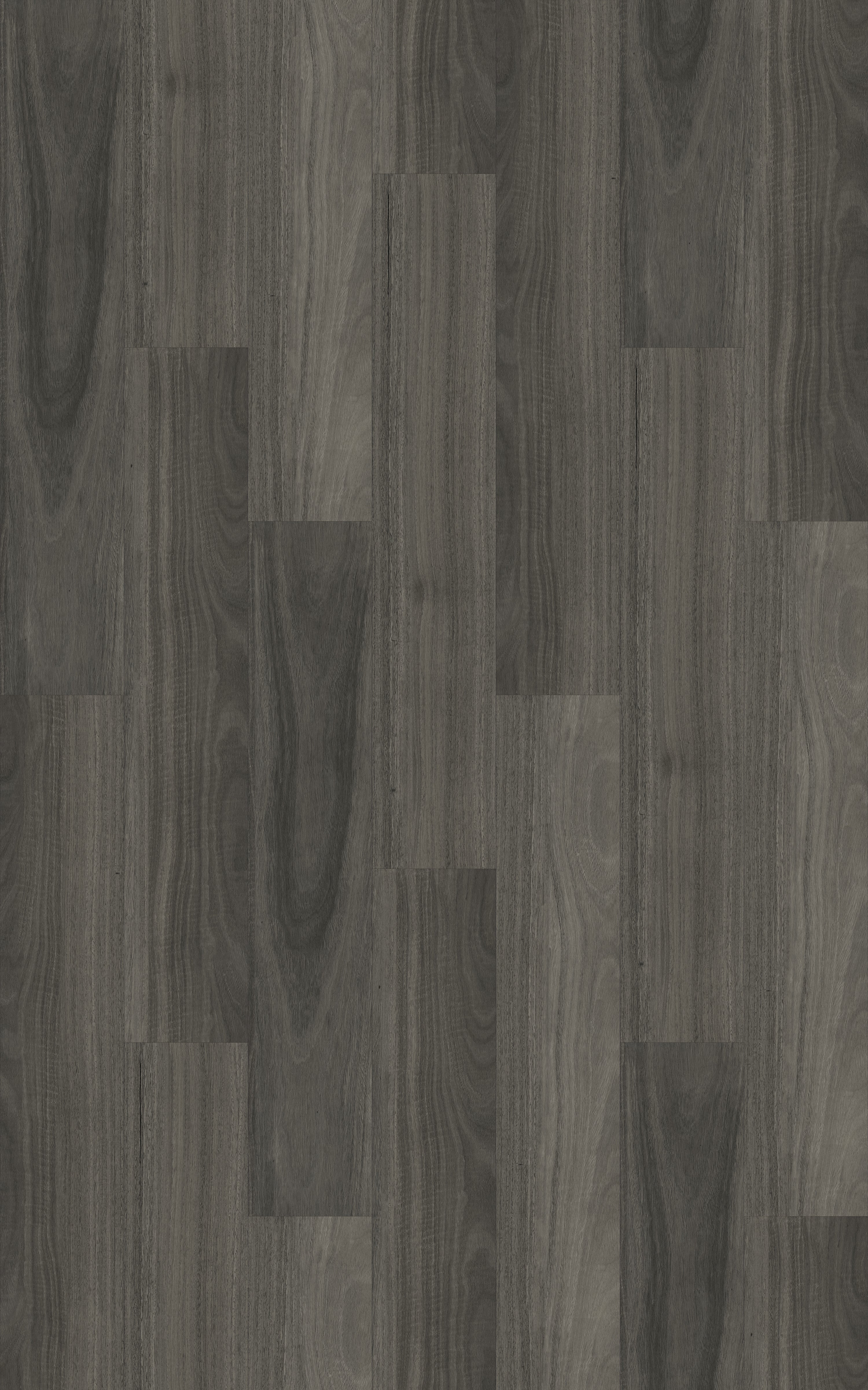 Kingswood Australis | Ancient Gum