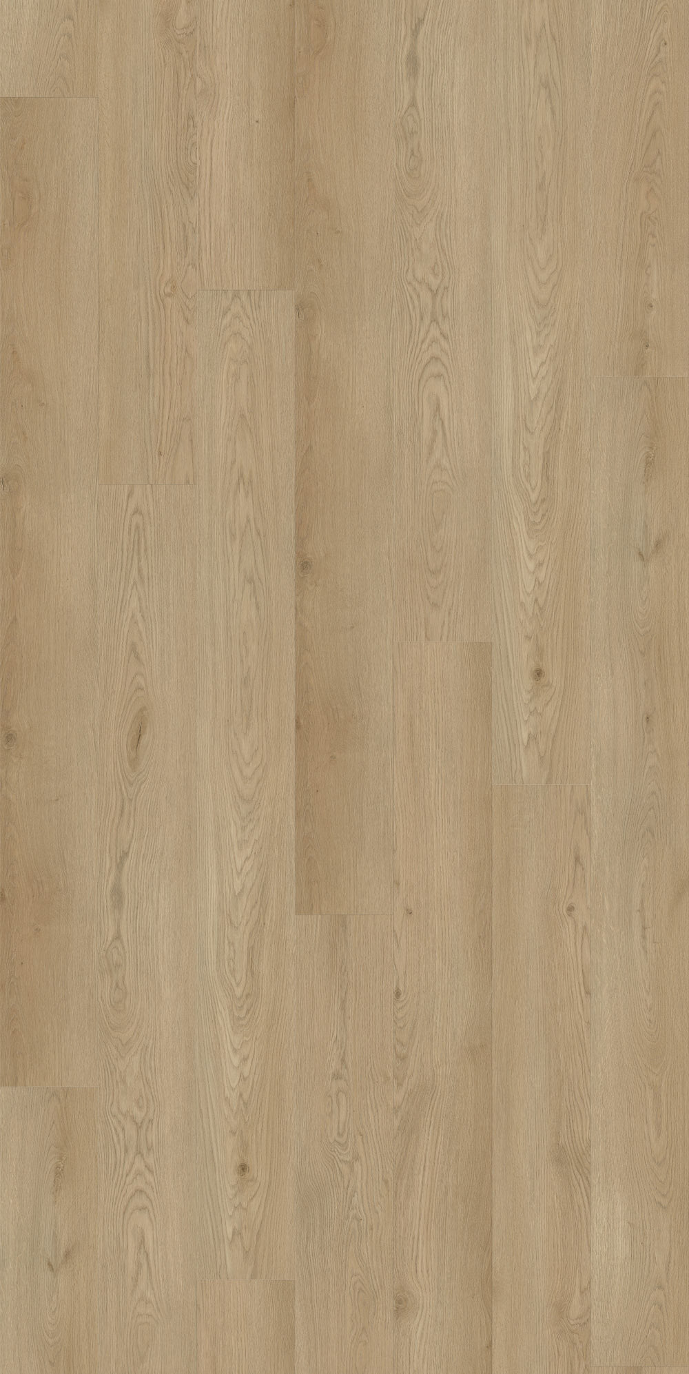 Kingswood Select Oak | Pils Oak