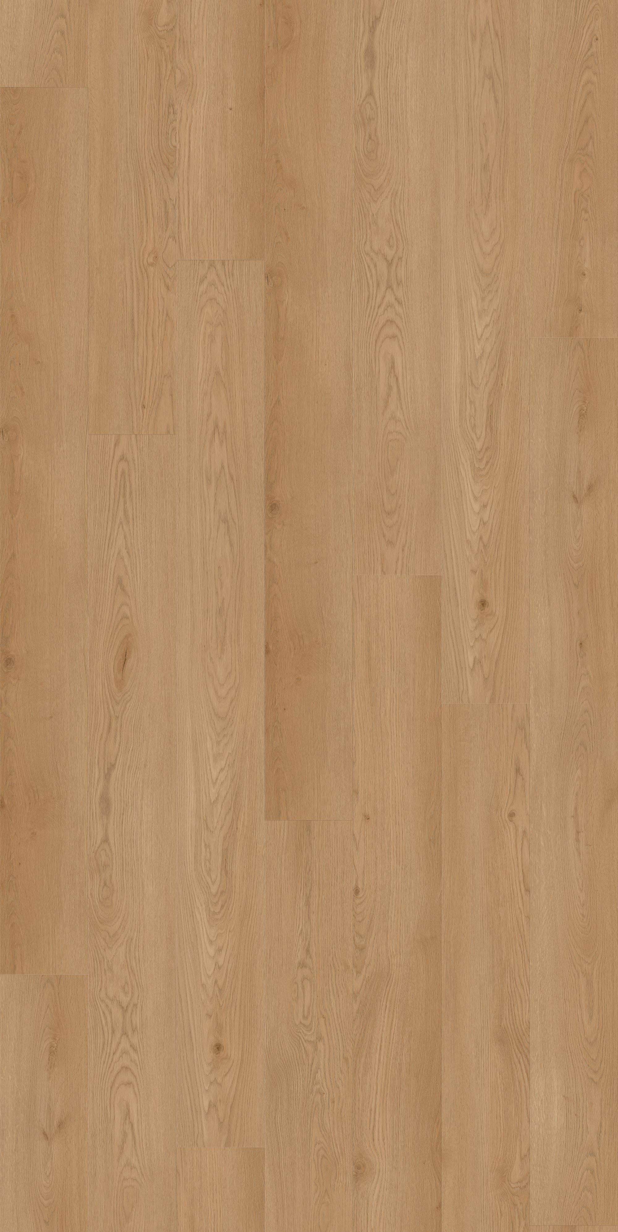 Kingswood Select Oak | Euro Oak