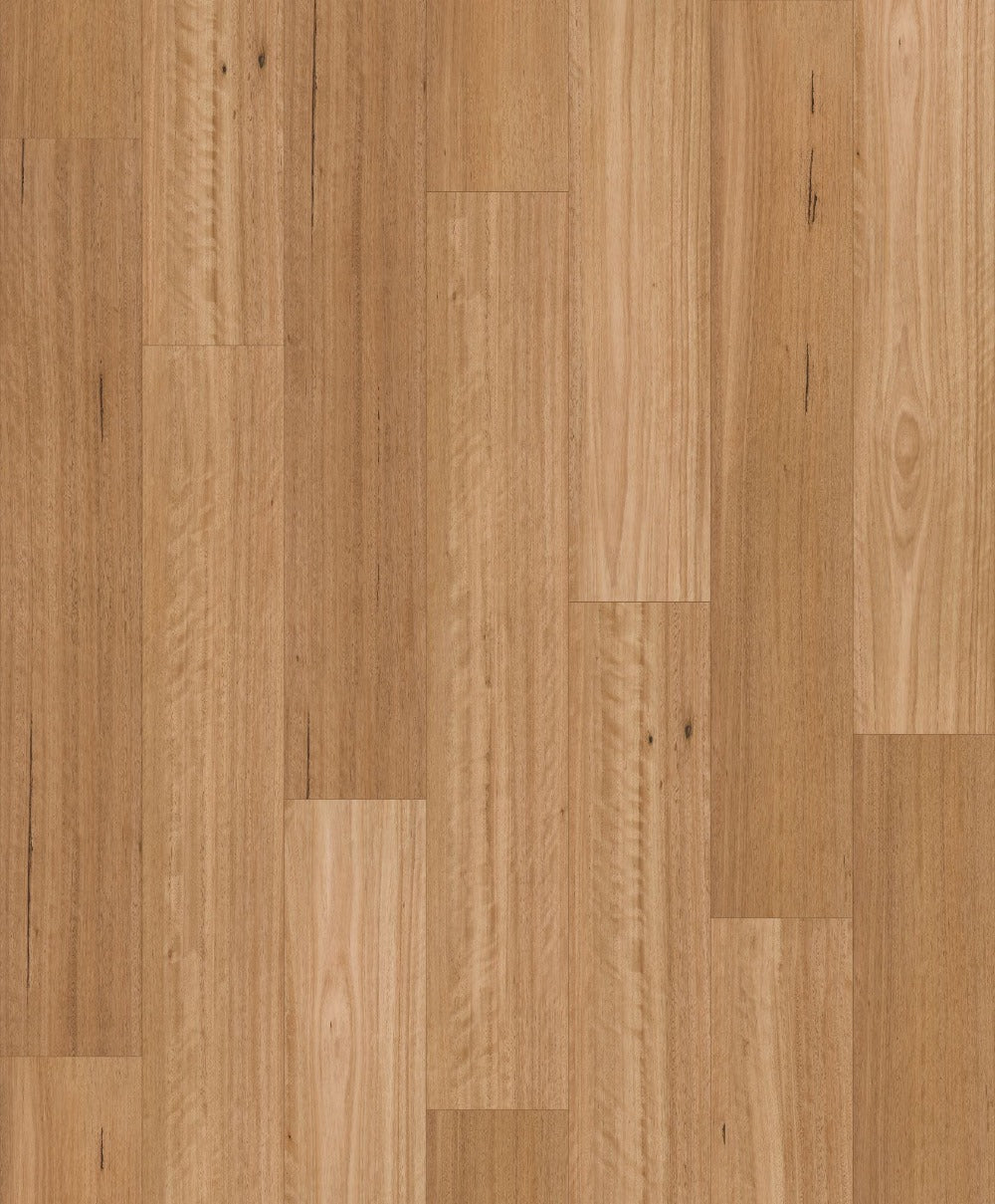 Chesterfield | Silky Blackbutt