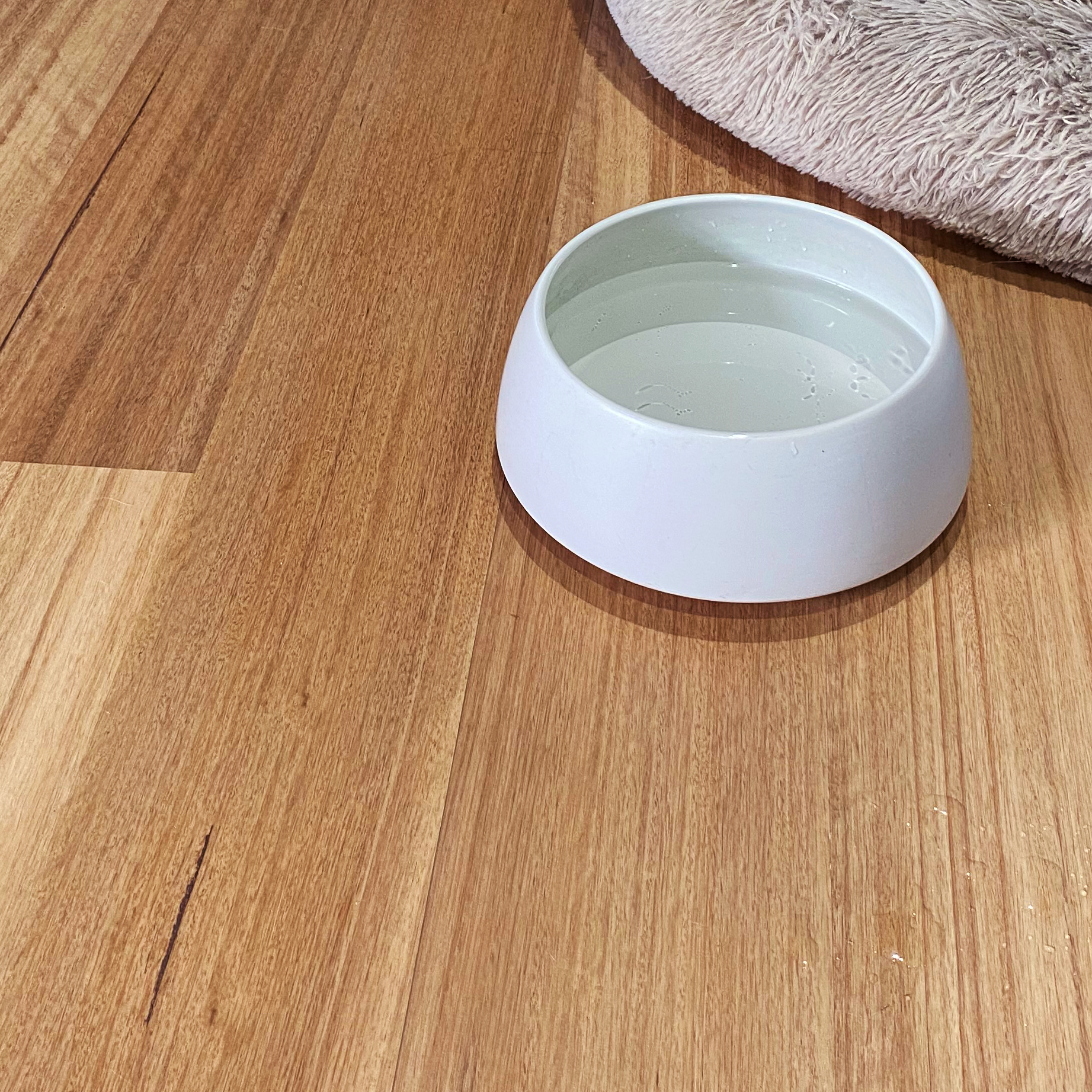 Kingswood 1.2 | Sanded Blackbutt