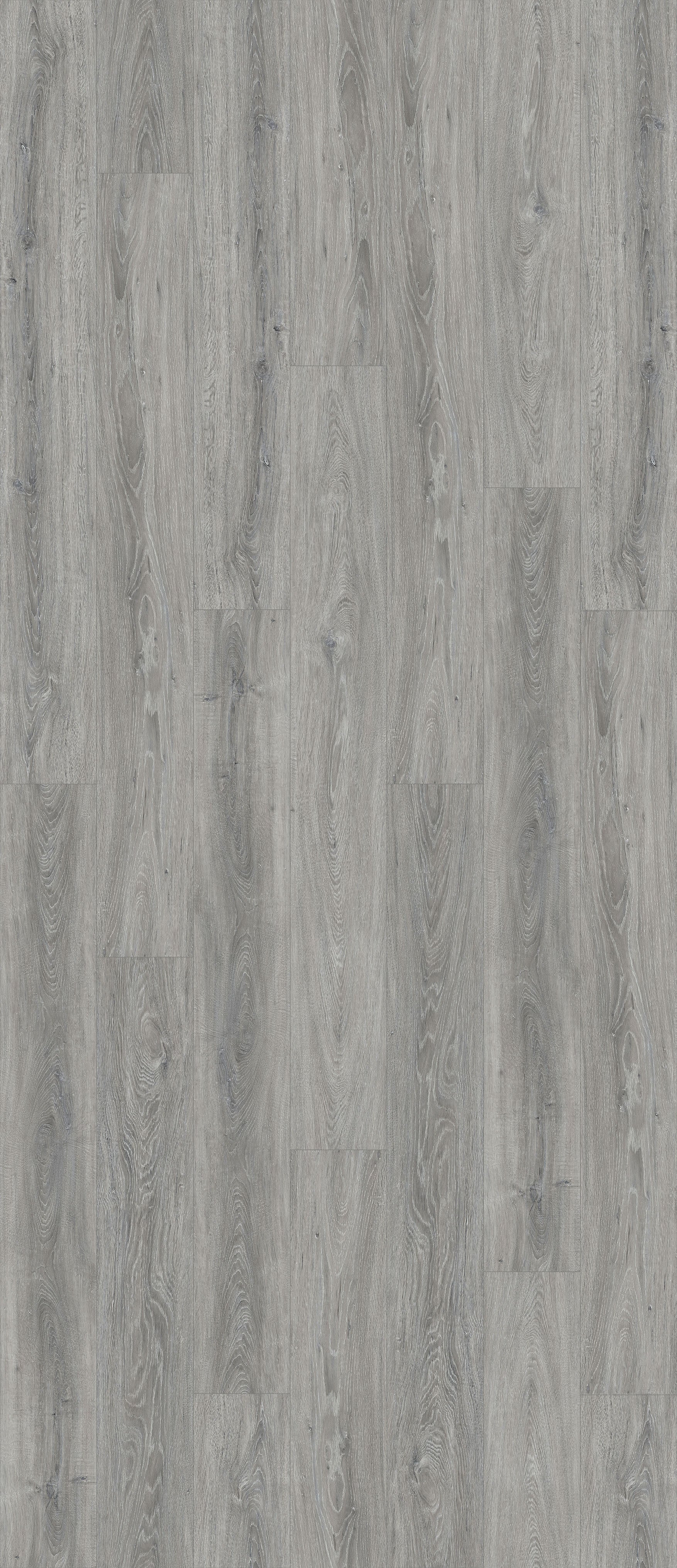 Natural Creations Arborart | Shadow Oak