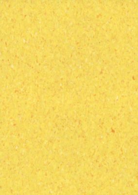 Bespoke | Dandelion