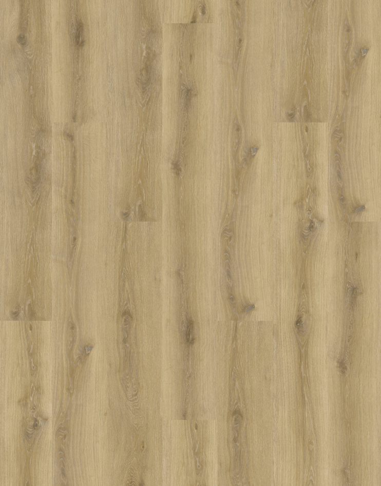 Natural Creations Arborart | Summer Oak