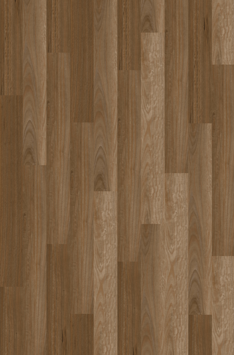 Natural Creations Arborart | Sunrise Blackbutt