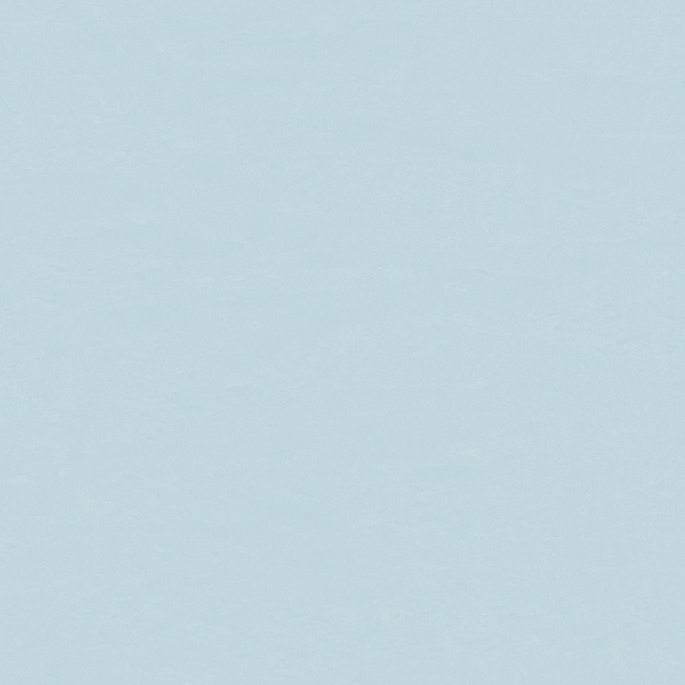 Wallflex | Glacier