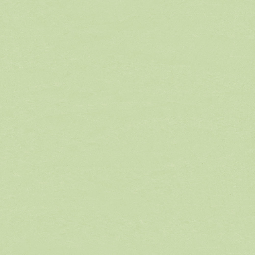 Wallflex | Wasabi