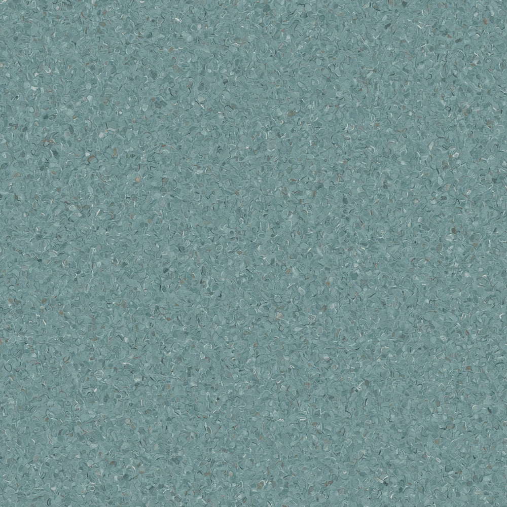Accolade Plus | Torquay