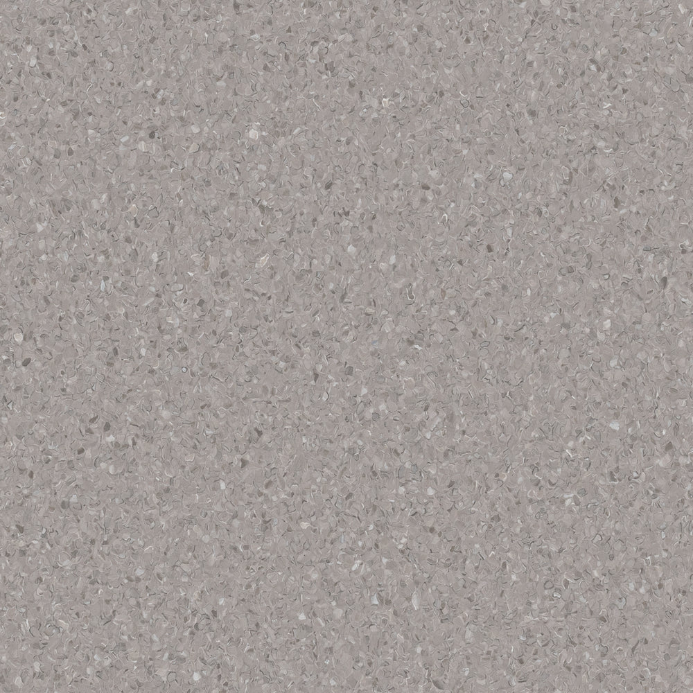 Darling Gray Accolade Plus Darling Grey - Armstrong Flooring