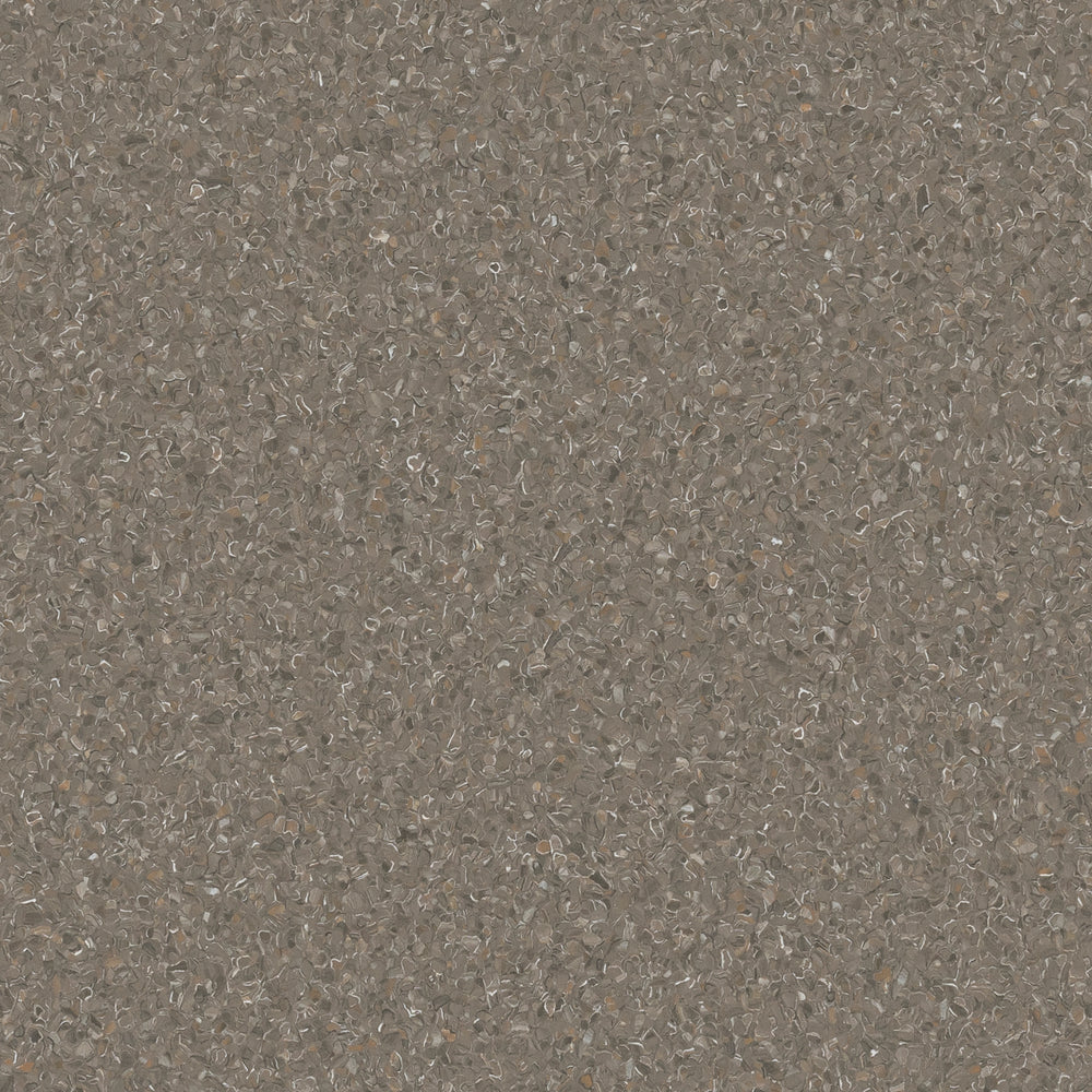 Snapper Rocks Vinyl Flooring - Accolade Plus - Armstrong Flooring AU