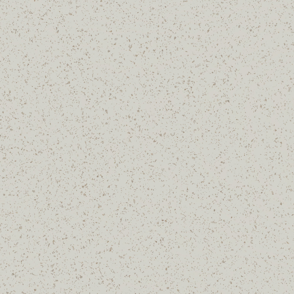 Spectra® | Oyster Shell