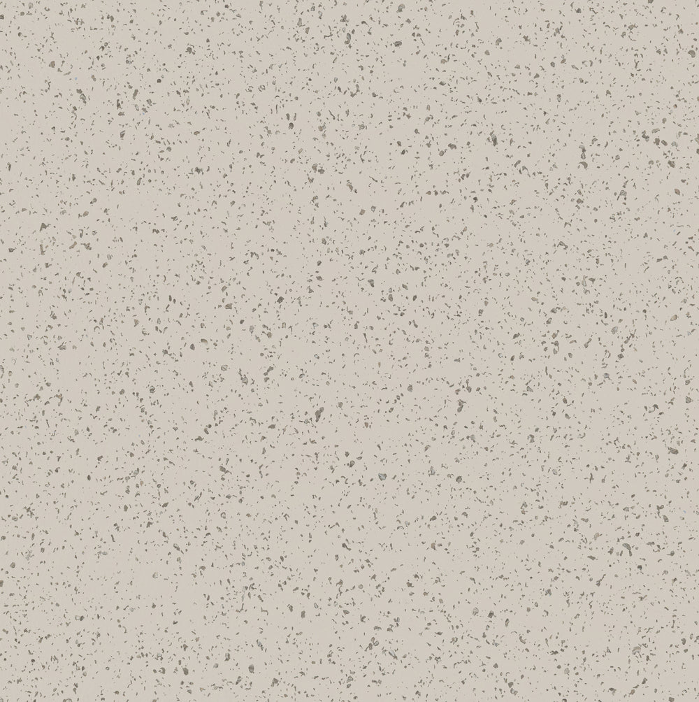 Spectra® | Coastal Shell