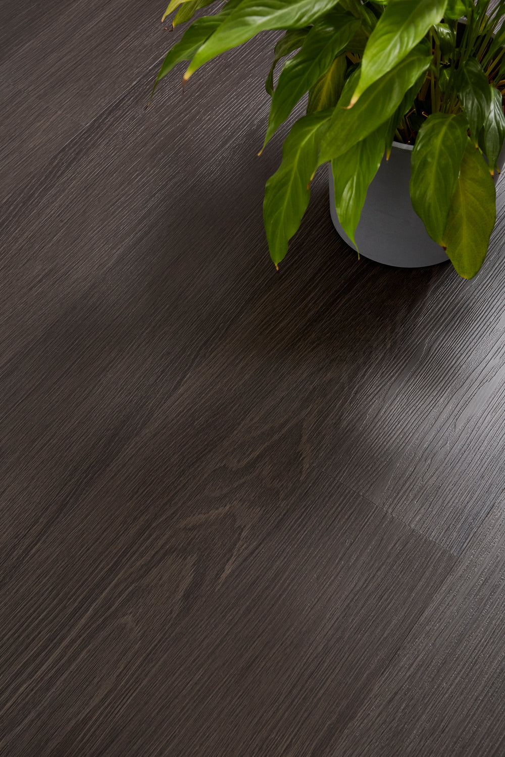 Aspirations® Flooring