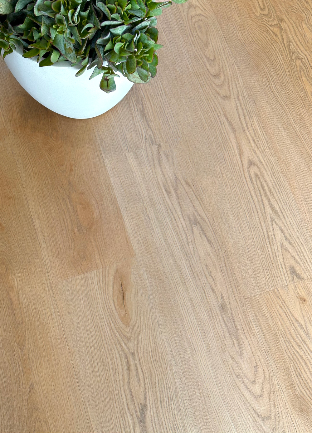 Kingswood Select Oak | Euro Oak