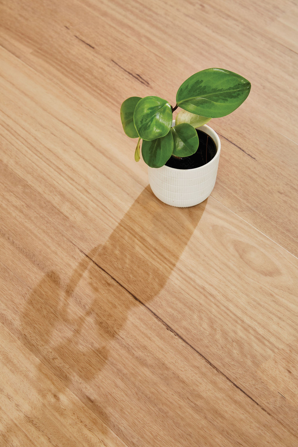 Natural Creations™ Longplank