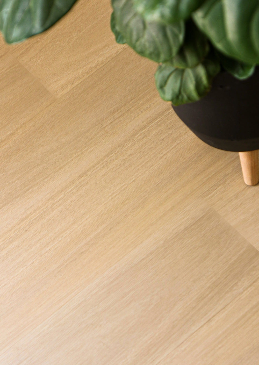 Kingswood™ Australis Flooring