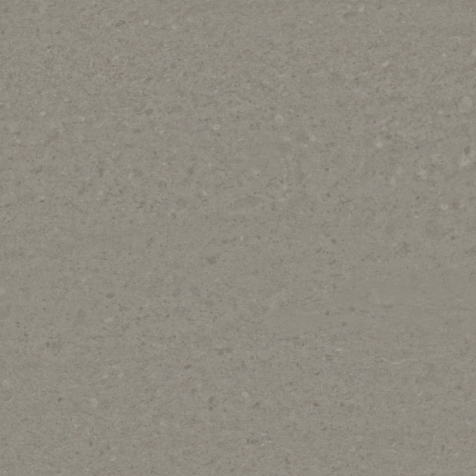Natural Creations Earthcuts | Polished Concrete - Light Grey 500