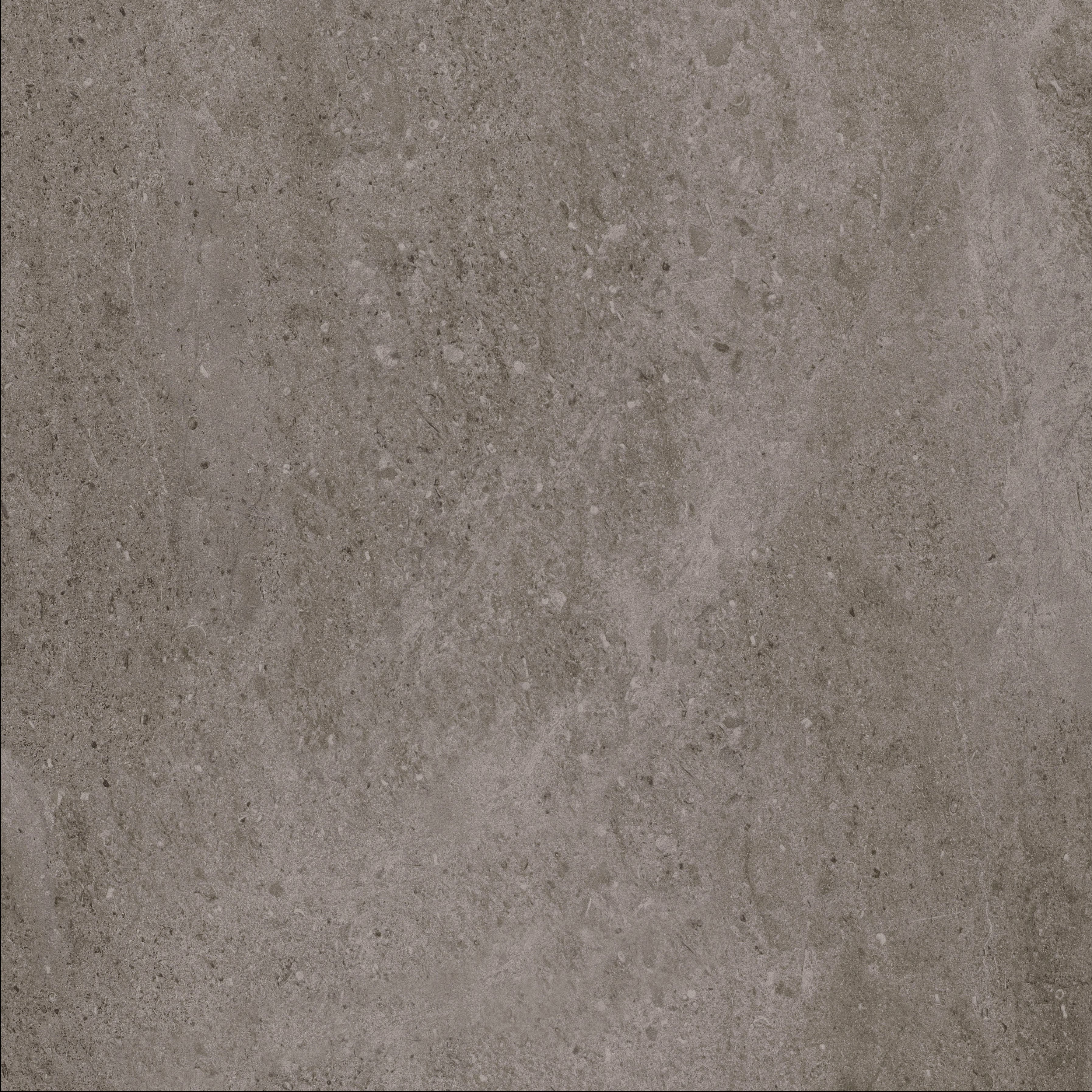 Natural Creations XL | Polished Concrete – Dark Grey 5.0mm