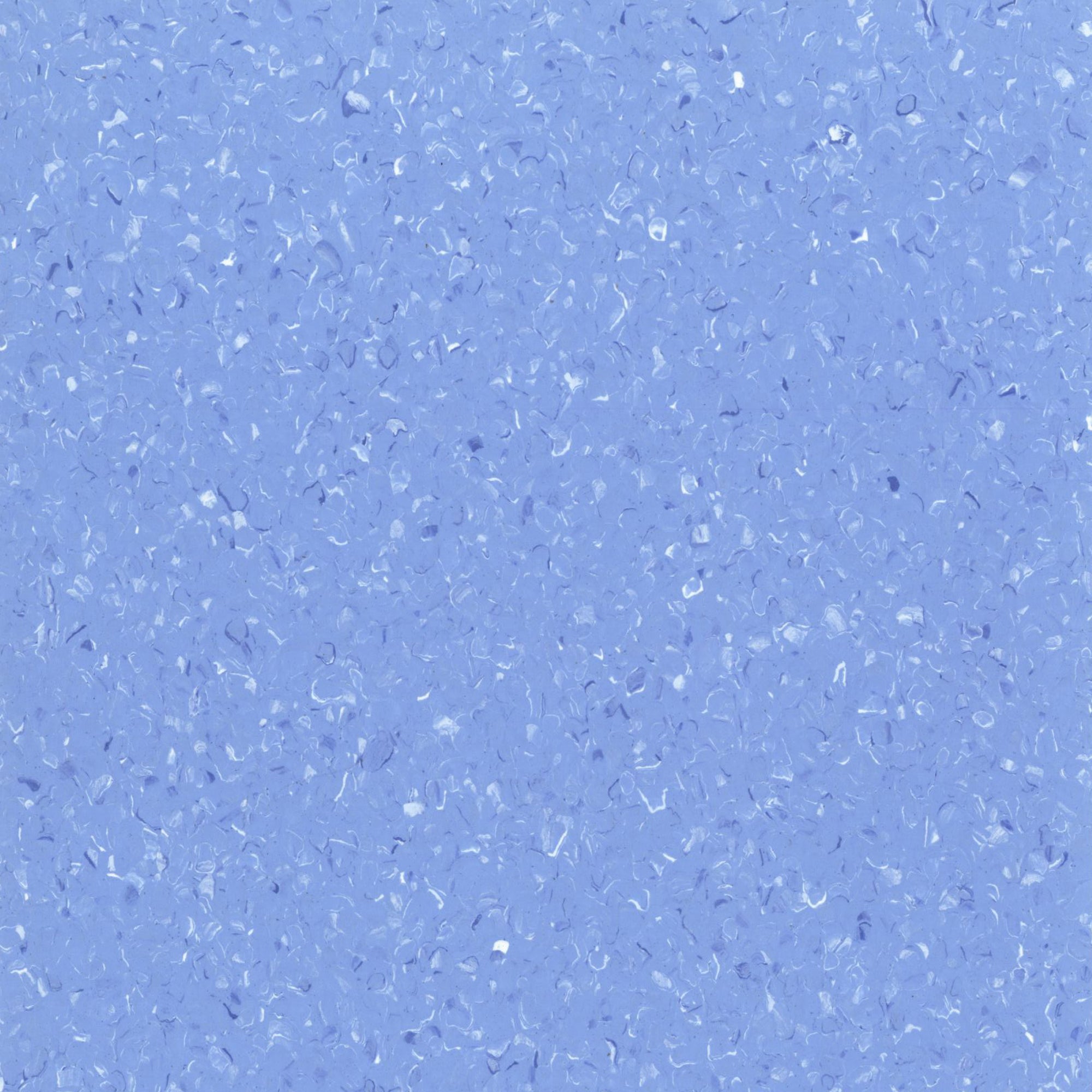College Blue Vinyl Flooring - Quantum - Armstrong Flooring AU